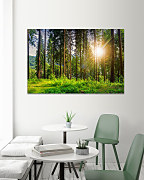 Obraz Prechádzka lesom 1617